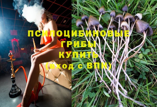 прущий лед Навашино